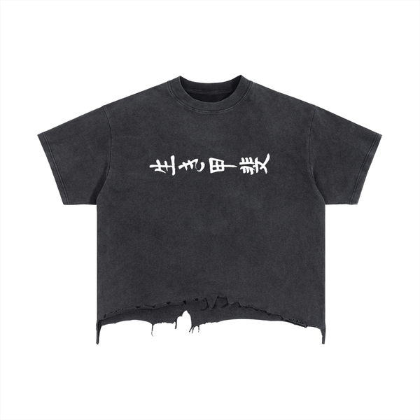 Project Ikigai cropped tshirt