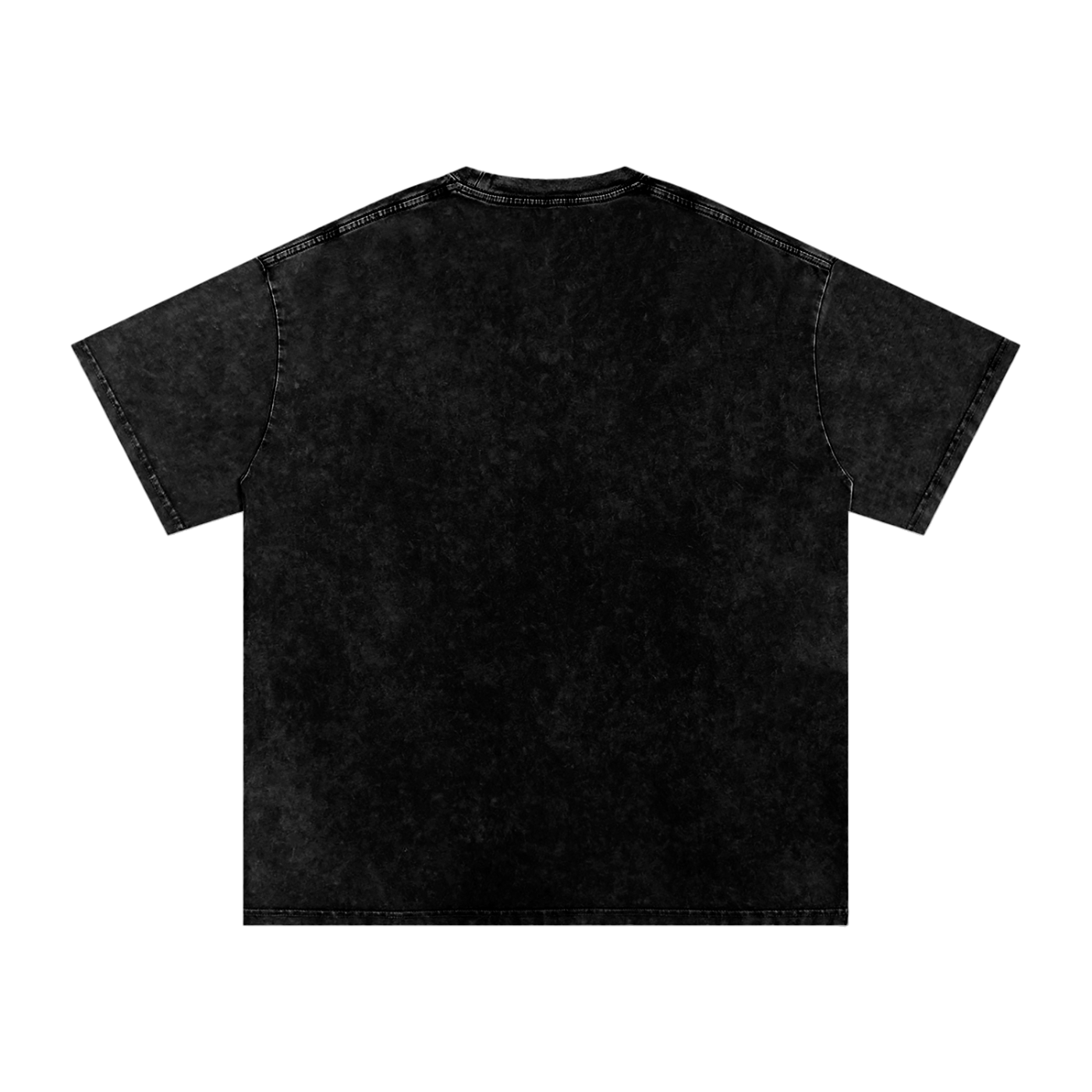Project Ikigai washed T-Shirt