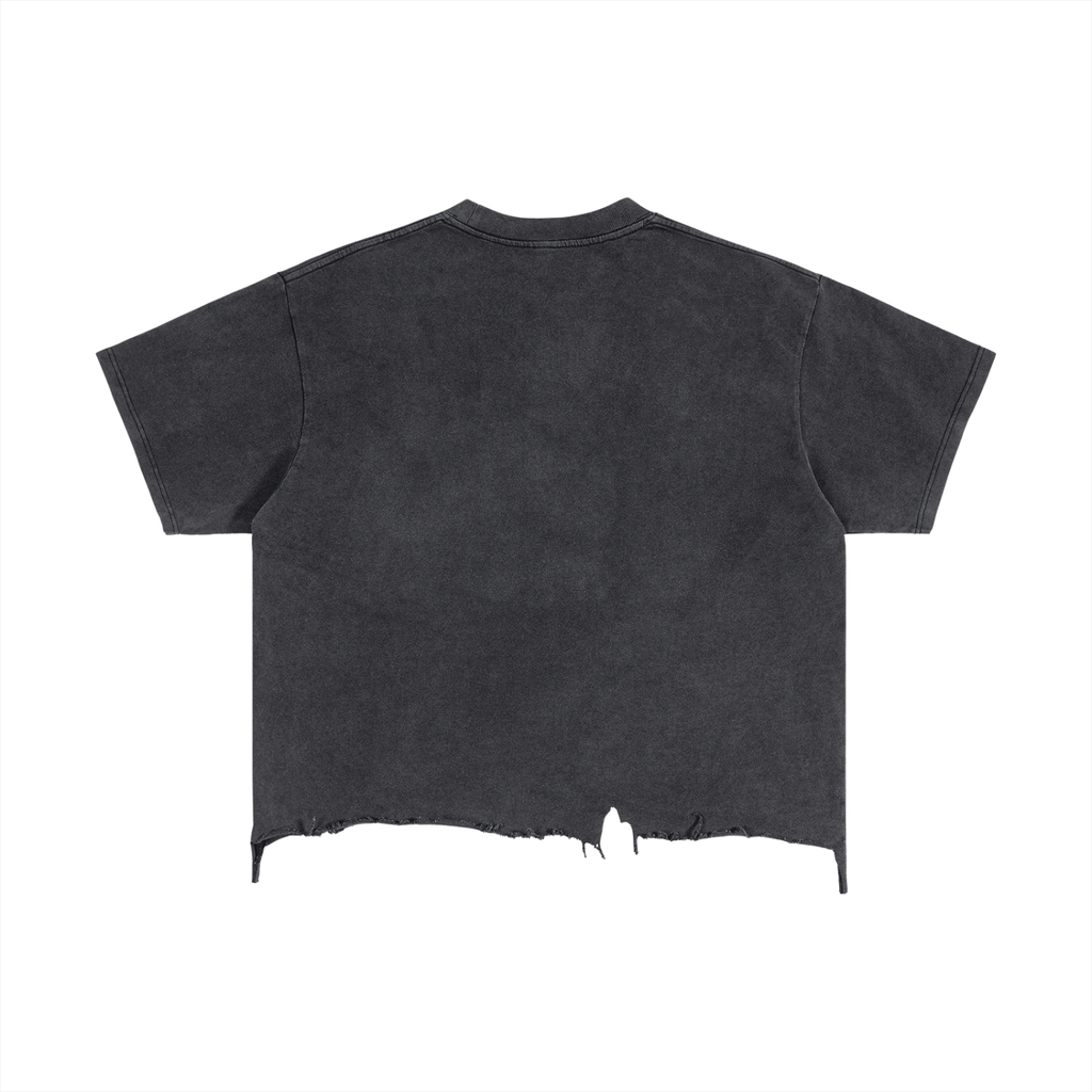Project Ikigai cropped tshirt