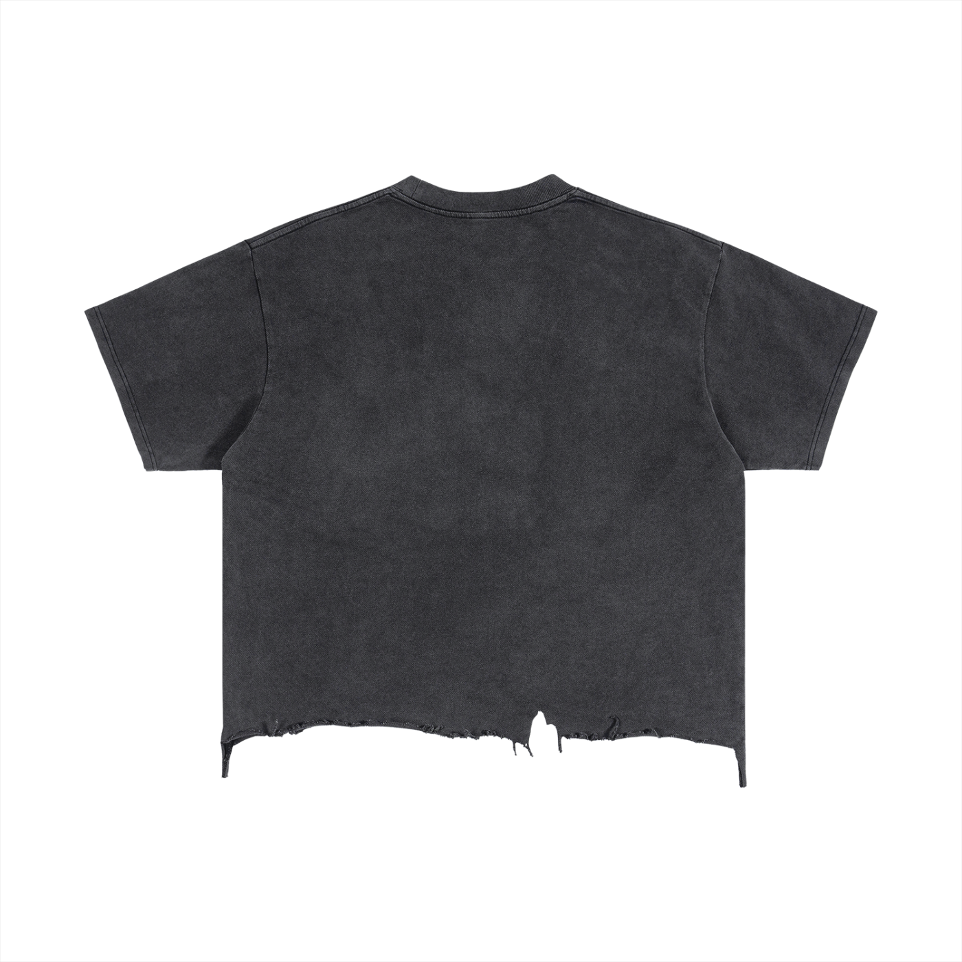 Project Ikigai cropped tshirt