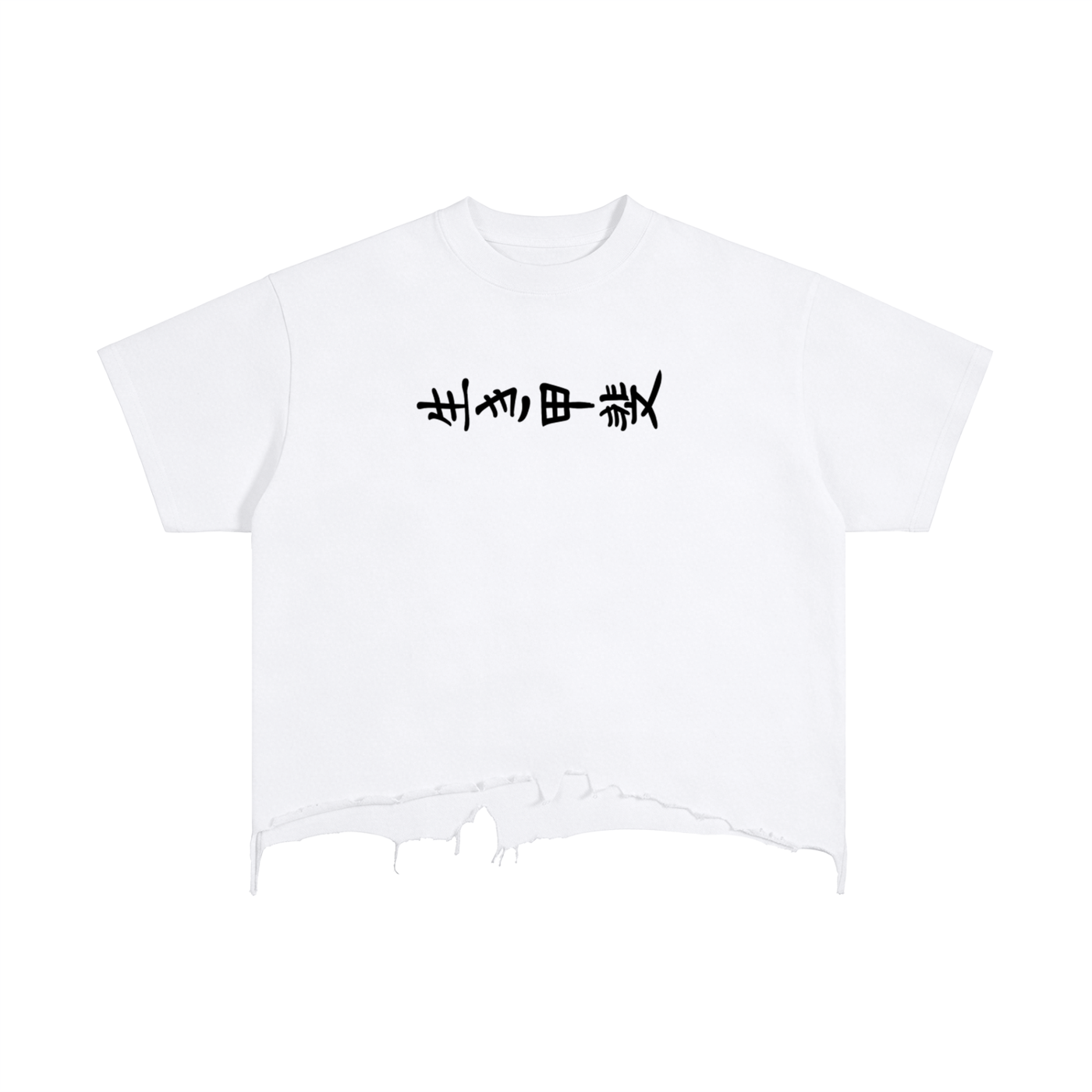 Project Ikigai cropped tshirt